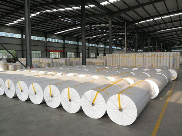 江干狭缝式涤纶纺粘无纺布